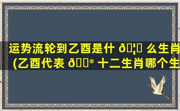 运势流轮到乙酉是什 🦍 么生肖(乙酉代表 💮 十二生肖哪个生肖)